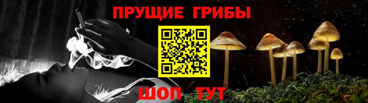 Котовск  Галлюциногенные грибы Cubensis  Вход с VPN  Псилоцибиновые грибы мицелий 